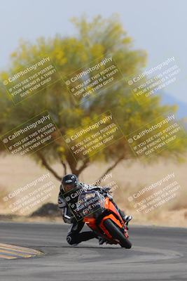 media/Apr-12-2025-Race Pace (Sat) [[9230add55f]]/Vested/6-Turn 4 Tree of Life (115pm)/